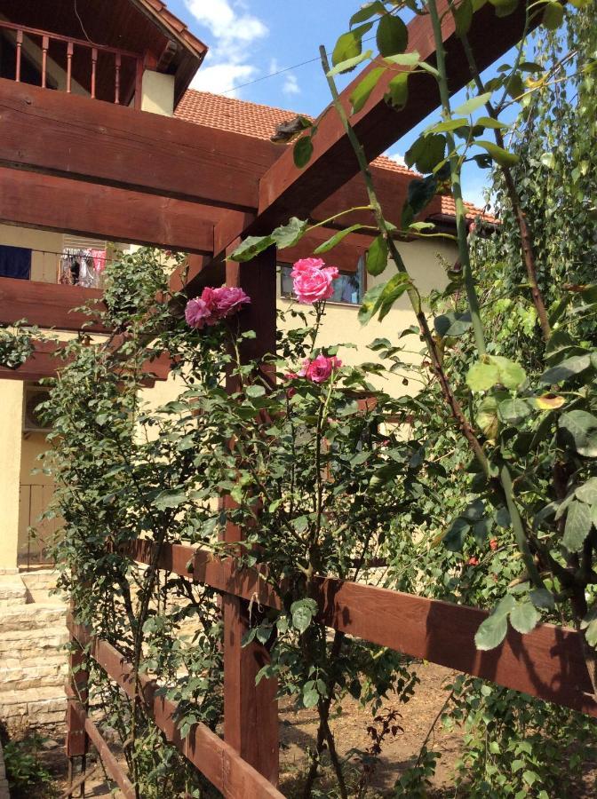 Villa Rosa Năvodari Εξωτερικό φωτογραφία