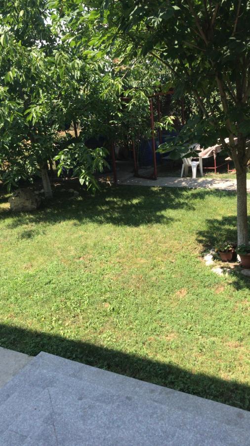 Villa Rosa Năvodari Εξωτερικό φωτογραφία